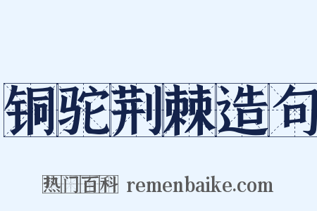 铜驼荆棘造句是什么意思的图片